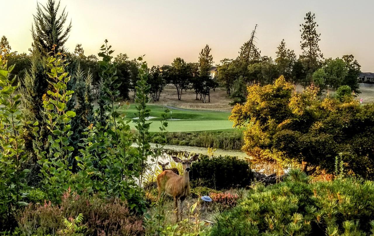Hotel At Golf Club Eagle Point