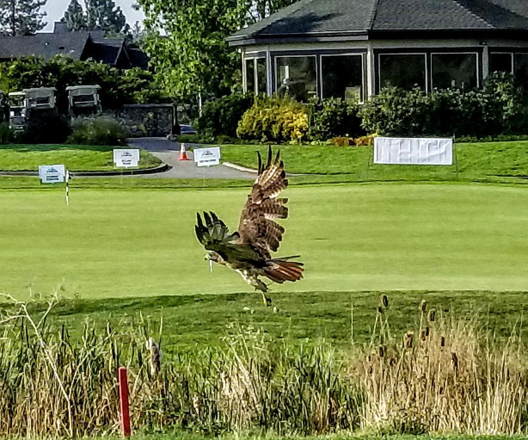 At Golf Club Hotel Eagle Point