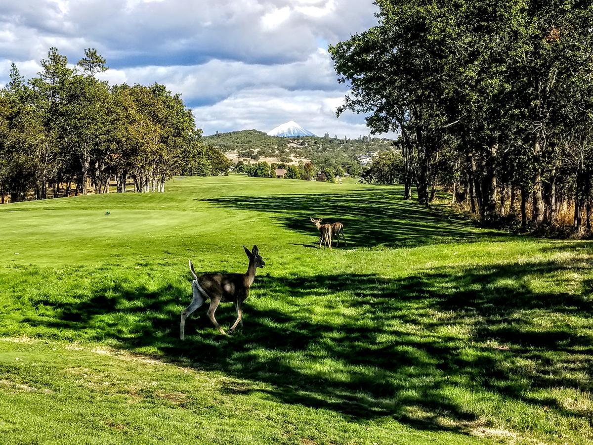 At Golf Club 5*